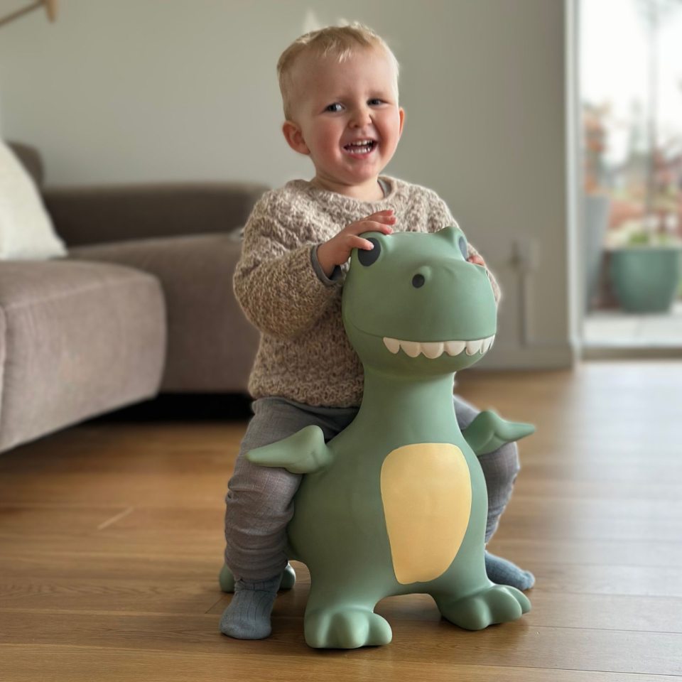 Springer – Dinosaurier - Tublu.de