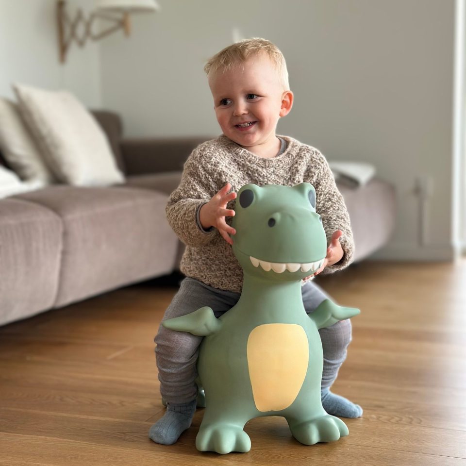 Springer – Dinosaurier - Tublu.de