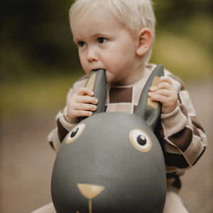 Springer – Hase - Tublu.de